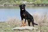 BEAUCERON 624